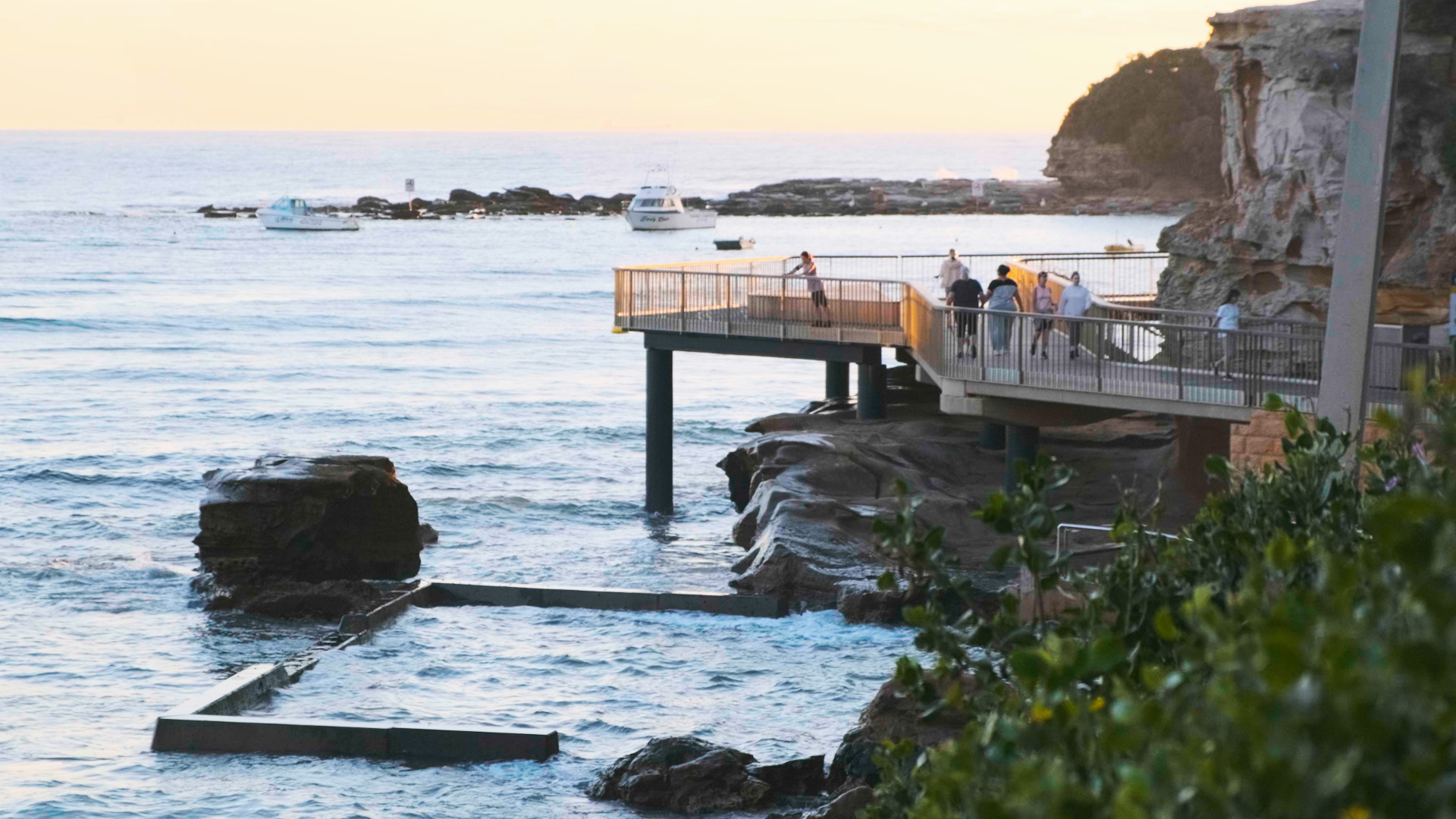 Terrigal Buyers Agent