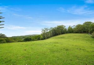 Bryson Bought Acreage Off Market Lisarow