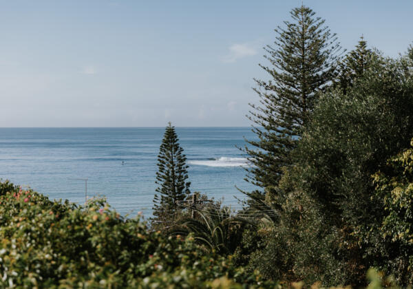 Bryson Bought Properties