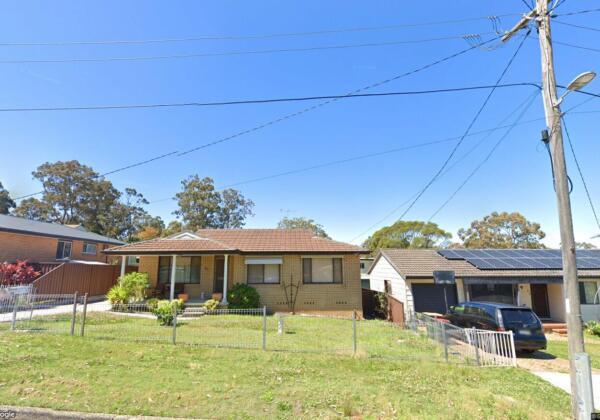 Recently Purchased Kanwal